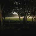 There's a moon-lit mist in Oaksmere's field, Life on the Neonatal Ward, Dairy Farm and Thrandeston Chapel, Suffolk - 26th August 2005