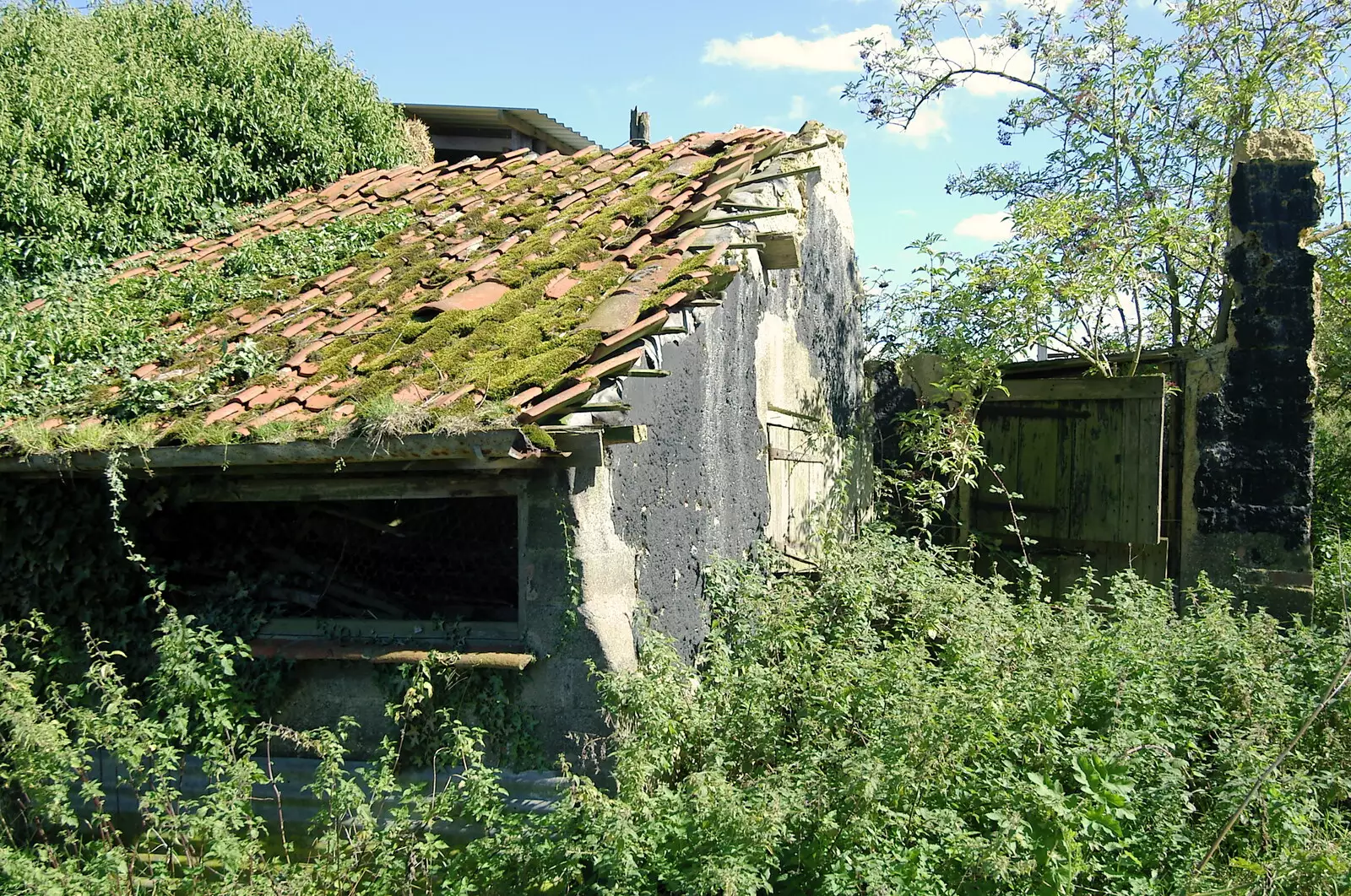 A derelict roof on Valley Farm, from Life on the Neonatal Ward, Dairy Farm and Thrandeston Chapel, Suffolk - 26th August 2005