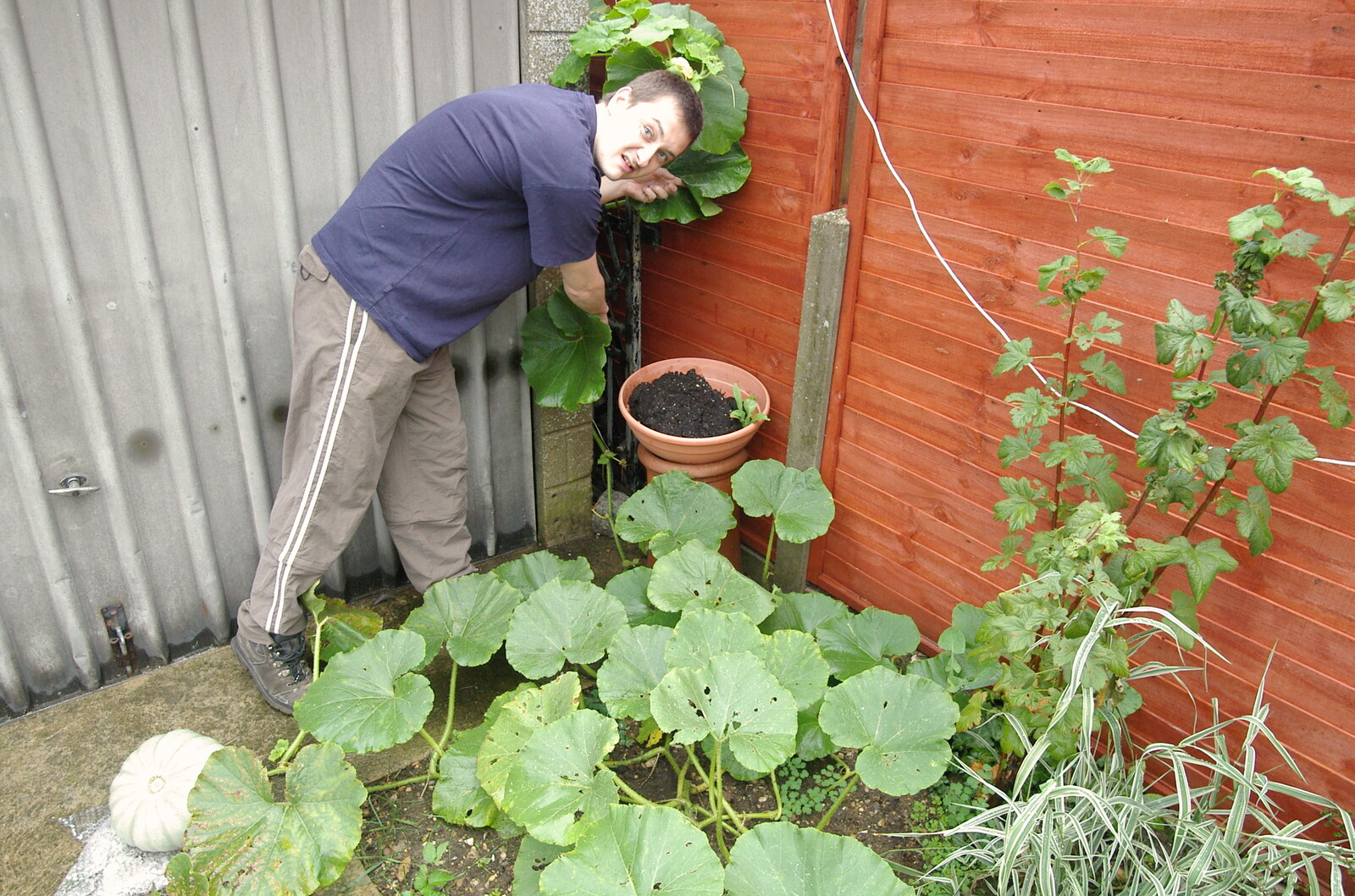 Andrew points to one of his prized marrows from Cambridge Floods, Curry Night and an Ipswich Monsoon - 10th September 2005
