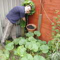 Andrew points to one of his prized marrows, Cambridge Floods, Curry Night and an Ipswich Monsoon - 10th September 2005
