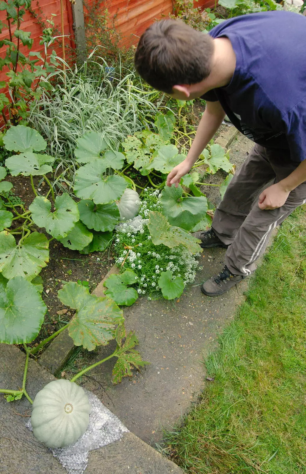 Andrew's marrows, from Cambridge Floods, Curry Night and an Ipswich Monsoon - 10th September 2005