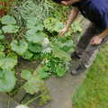 Andrew's marrows, Cambridge Floods, Curry Night and an Ipswich Monsoon - 10th September 2005