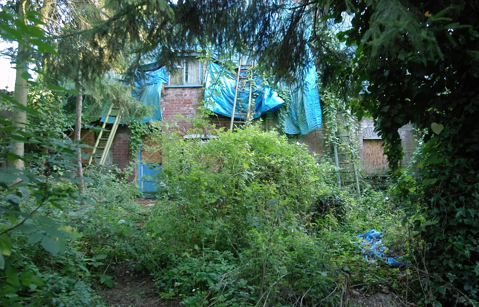 A view from the garden, from Cambridge Floods, Curry Night and an Ipswich Monsoon - 10th September 2005