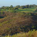 A bit of the famous Torrey Pines golf course, San Diego Four, California, US - 22nd September 2005