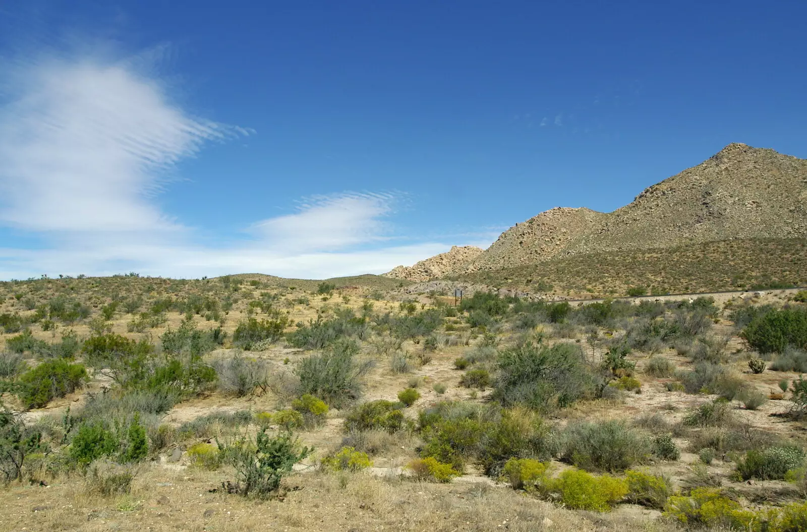 More desert scrub, from California Desert: El Centro, Imperial Valley, California, US - 24th September 2005