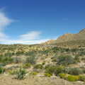 More desert scrub, California Desert: El Centro, Imperial Valley, California, US - 24th September 2005