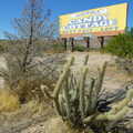 Spiky cactus and the Wisteria sign, California Desert: El Centro, Imperial Valley, California, US - 24th September 2005
