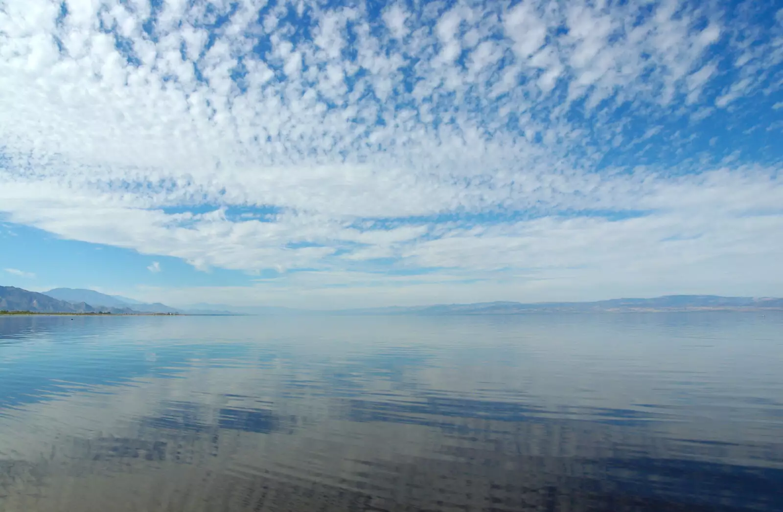 The surface conceals the reddish colour of the water, from California Desert 2: The Salton Sea and Anza-Borrego to Julian, California, US - 24th September 2005