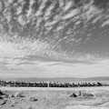 The pier in black and white, California Desert 2: The Salton Sea and Anza-Borrego to Julian, California, US - 24th September 2005