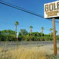2005 Old sign and palm trees on S22, Borrego Springs
