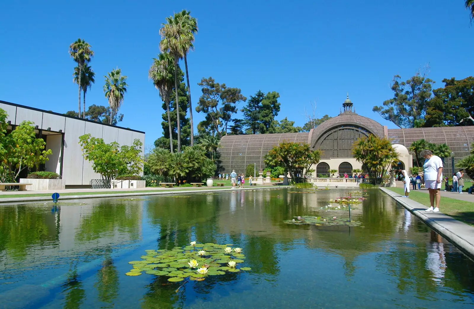 The botanical garden, from Scenes and People of Balboa Park, San Diego, California - 25th September 2005