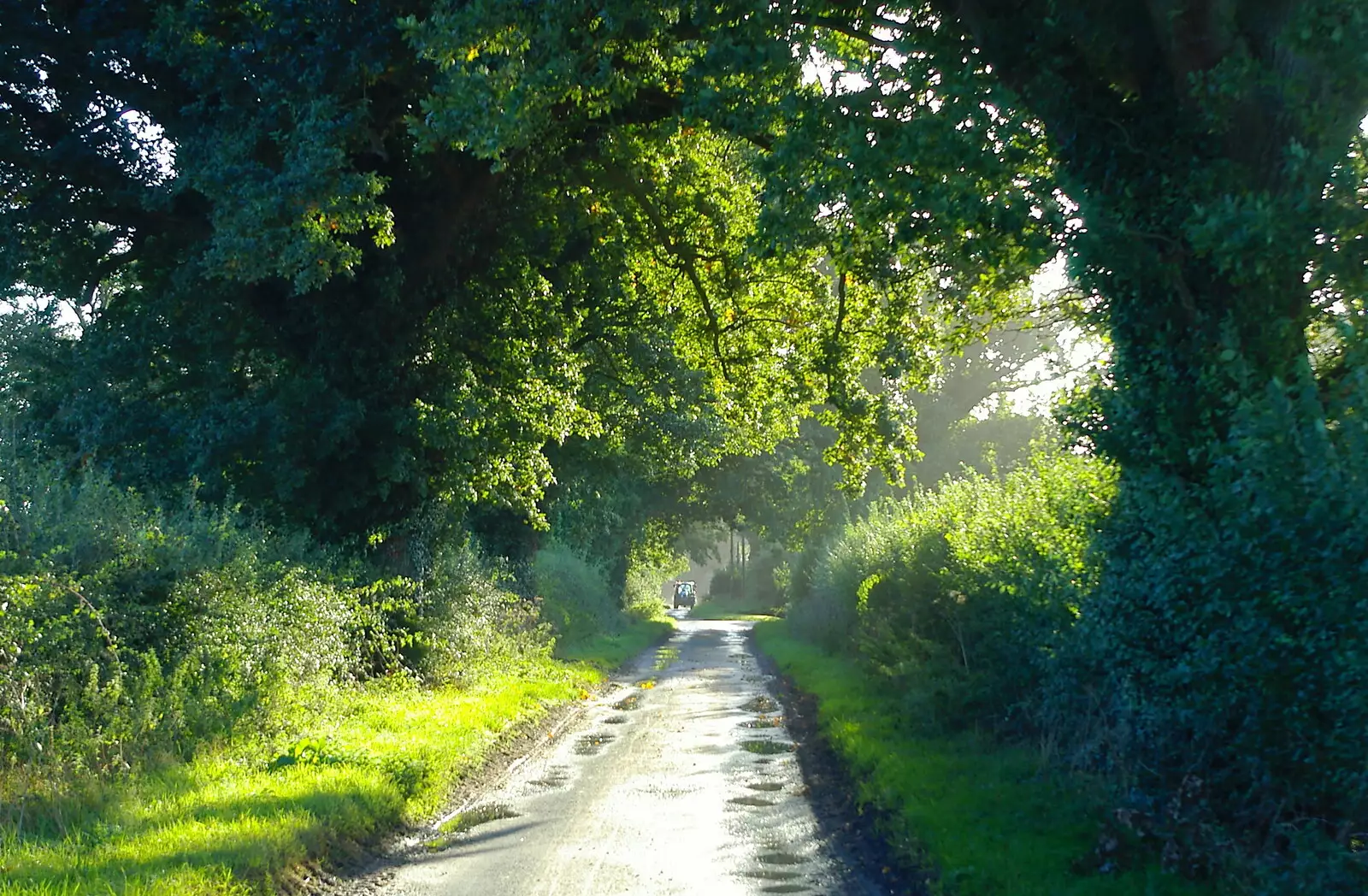 A country lane in Burston the next morning, from Jo and Steph's Party, Burston, Norfolk - 30th September 2005