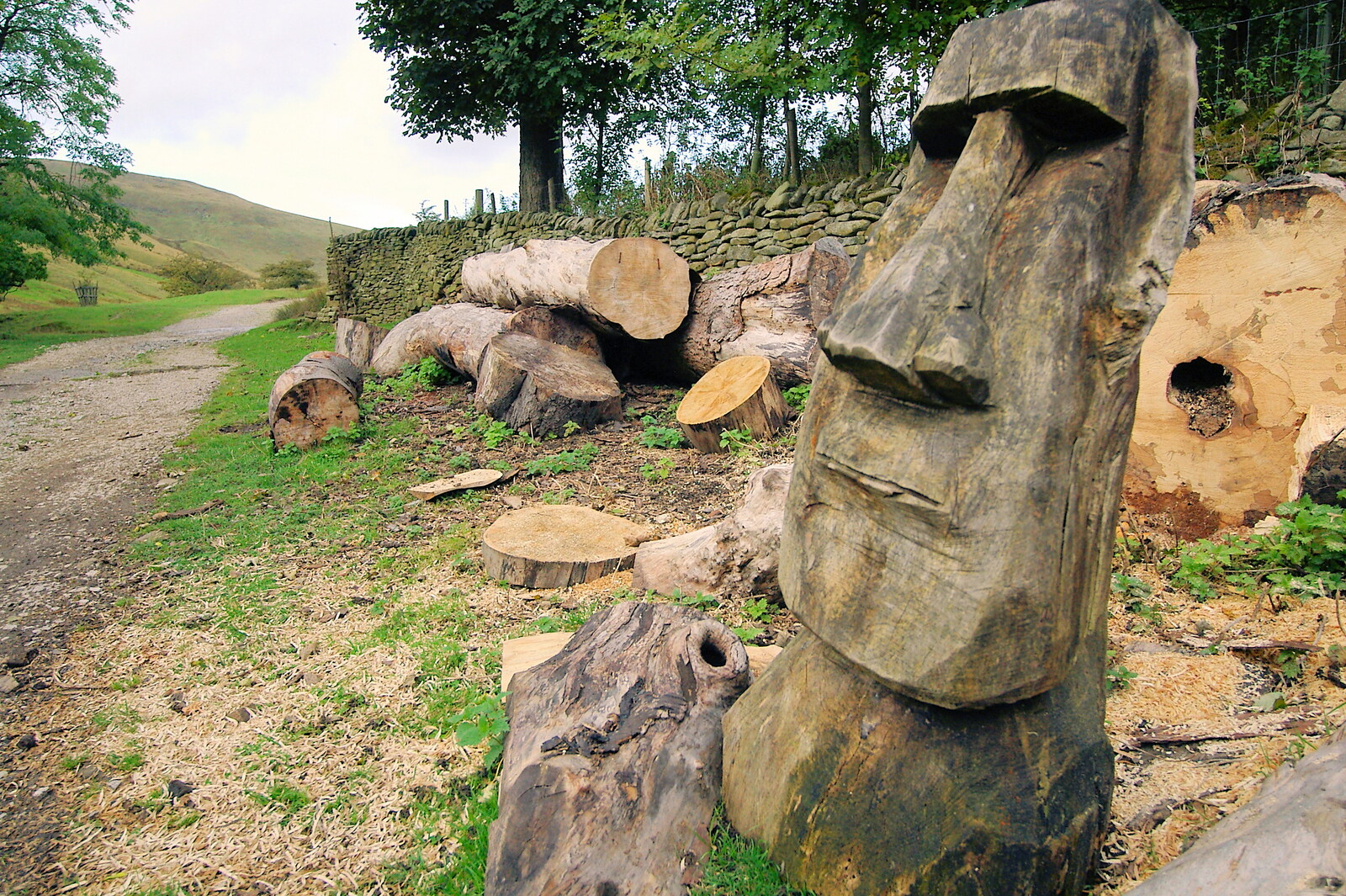 The Pennine Way: Lost on Kinder Scout, Derbyshire - 9th October 2005: A wooden head, like the Moai of Easter Island