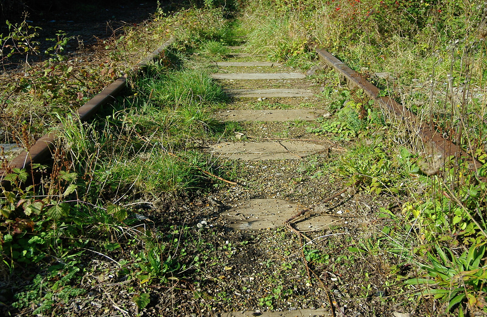 Abandoned tracks in the weeds from Disused Cambridge Railway, Milton Road, Cambridge - 28th October 2005