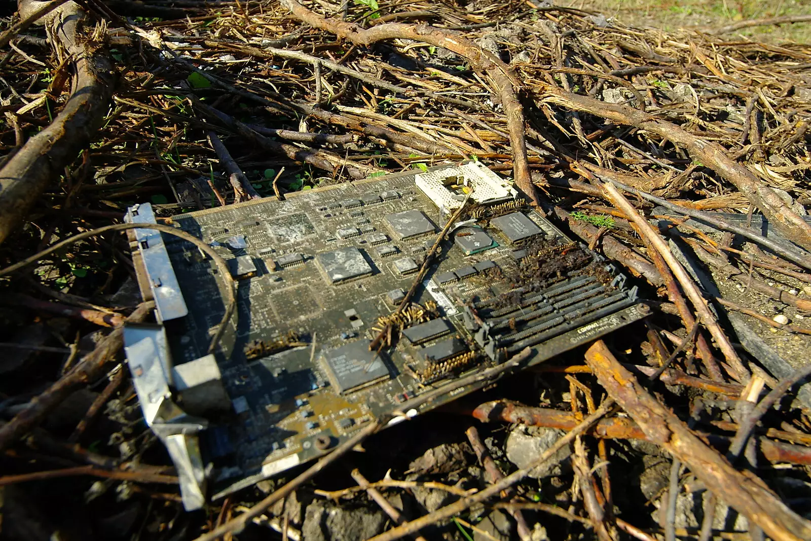 A discarded 486 blade server motherboard, from Disused Cambridge Railway, Milton Road, Cambridge - 28th October 2005