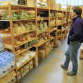 Dan roams around in organic shop Daily Bread, Disused Cambridge Railway, Milton Road, Cambridge - 28th October 2005