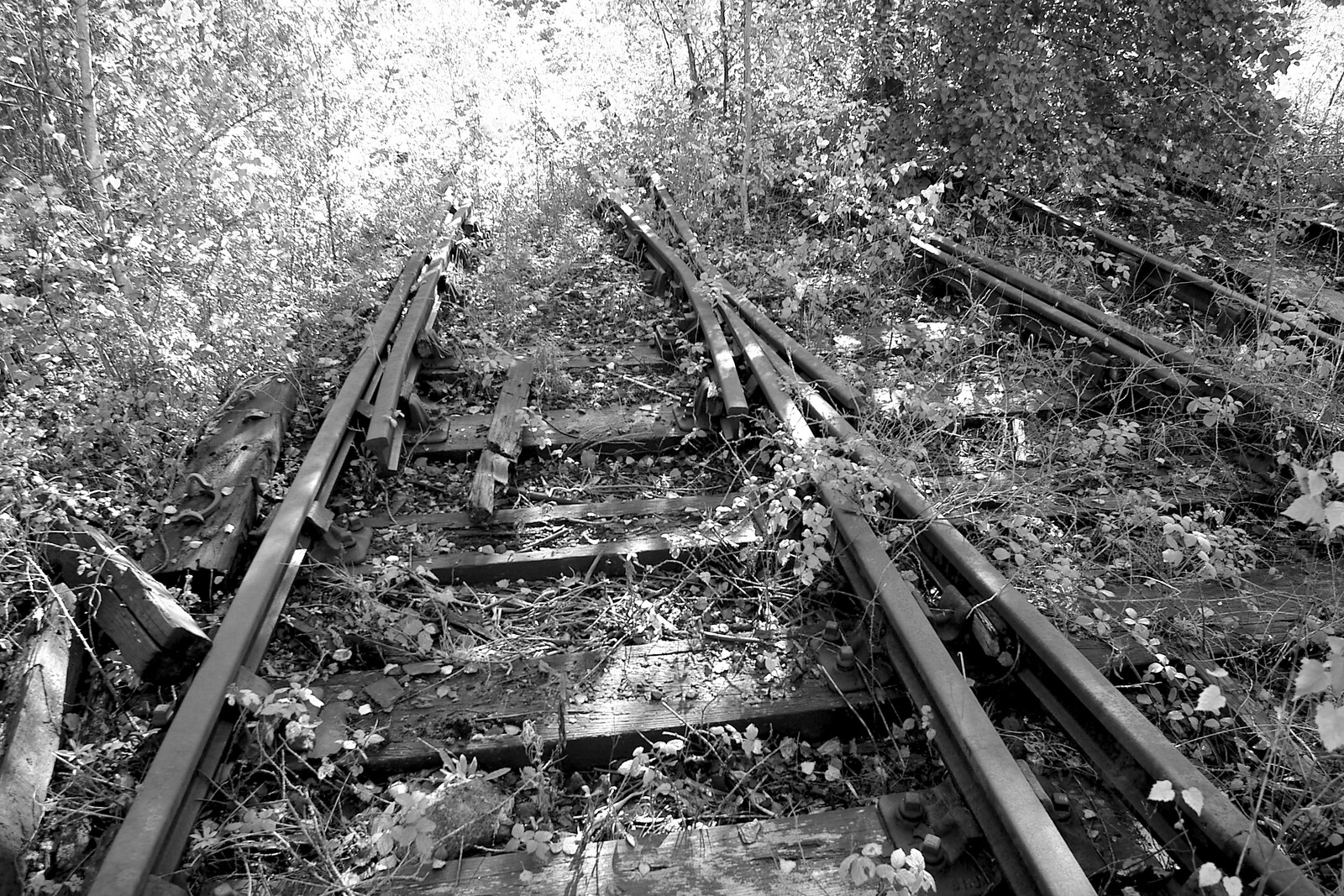Crossing tracks from Disused Cambridge Railway, Milton Road, Cambridge - 28th October 2005