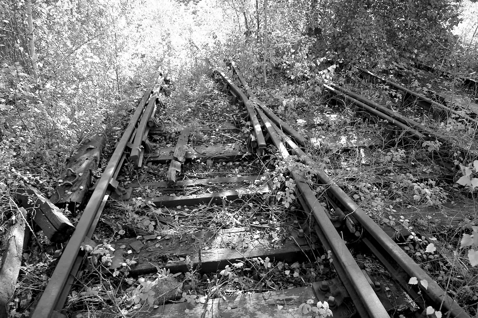 Crossing tracks, from Disused Cambridge Railway, Milton Road, Cambridge - 28th October 2005