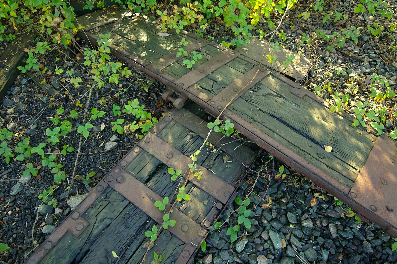 Some discarded doors, from Disused Cambridge Railway, Milton Road, Cambridge - 28th October 2005