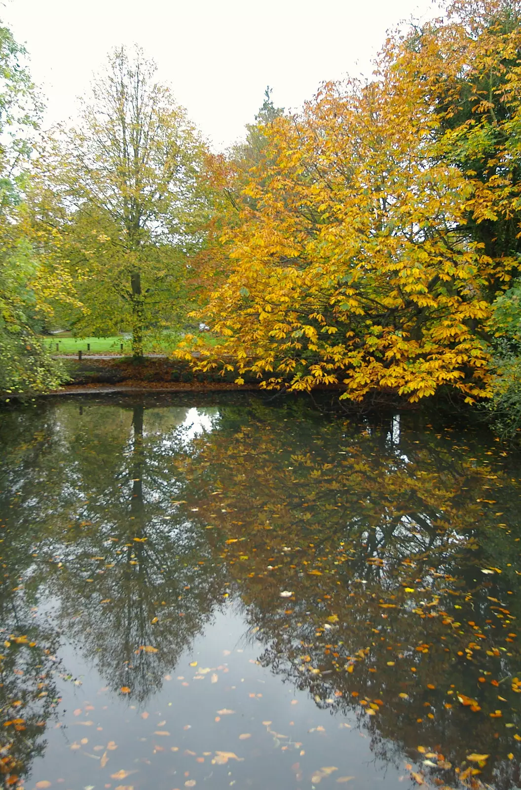 Autumn trees on Palgrave duck-pond, from CISU Networks and Autumn Leaves at Norwich Cathedral, Eye and Norwich - 29th October 2005