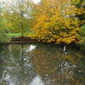 Autumn trees on Palgrave duck-pond, CISU Networks and Autumn Leaves at Norwich Cathedral, Eye and Norwich - 29th October 2005