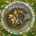 Leaves in a bird bowl, CISU Networks and Autumn Leaves at Norwich Cathedral, Eye and Norwich - 29th October 2005