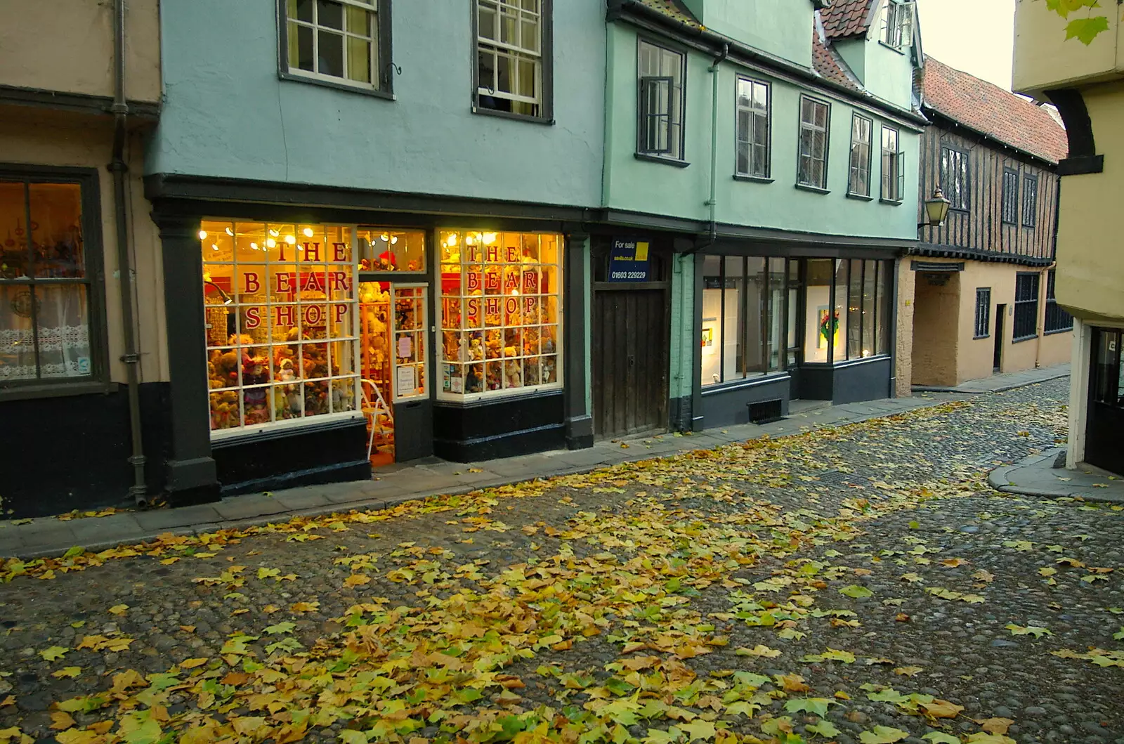 A warm glow from The Bear Shop, from CISU Networks and Autumn Leaves at Norwich Cathedral, Eye and Norwich - 29th October 2005