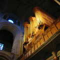 CISU Networks and Autumn Leaves at Norwich Cathedral, Eye and Norwich - 29th October 2005, The organ, which was being played at the time.