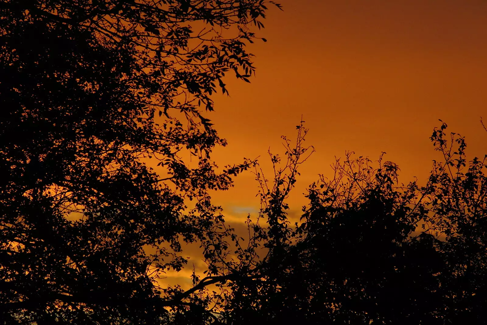 An orange sunset imparts a weird glow to the sky, from CISU Networks and Autumn Leaves at Norwich Cathedral, Eye and Norwich - 29th October 2005