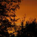An orange sunset imparts a weird glow to the sky, CISU Networks and Autumn Leaves at Norwich Cathedral, Eye and Norwich - 29th October 2005