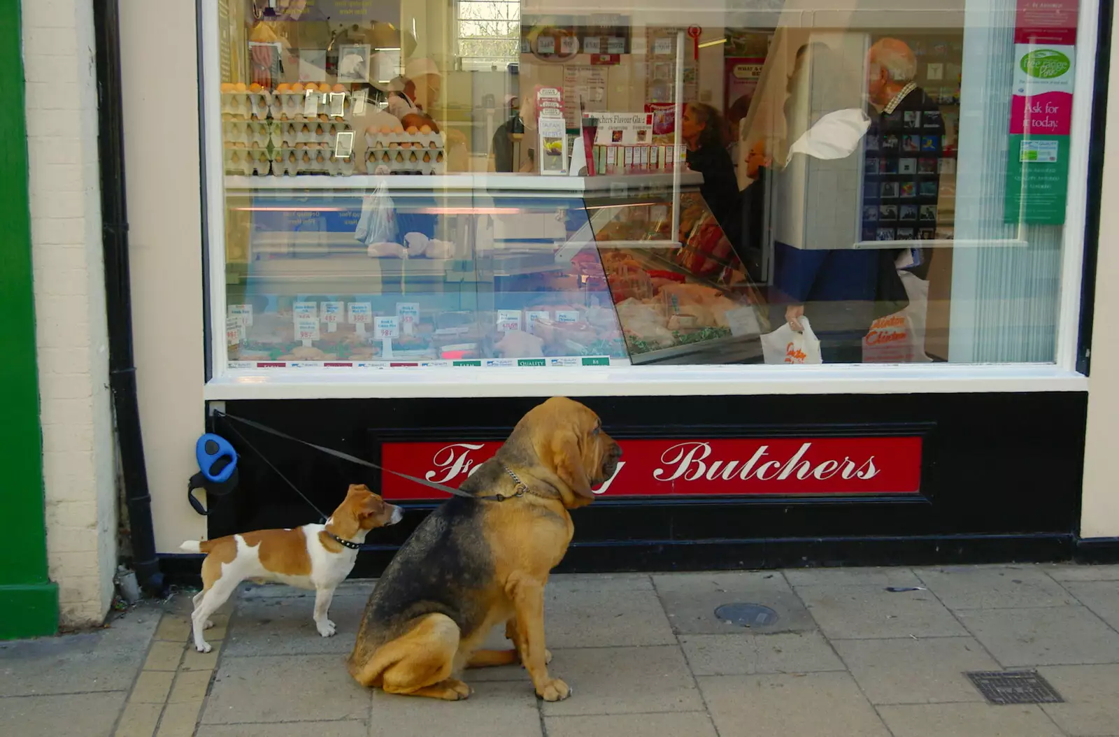 Fit as a butcher's dogs, outside Cannell's, from Burnt-out Recycling Bins and Fireworks from a Distance, Diss, Norfolk - 4th November 2005