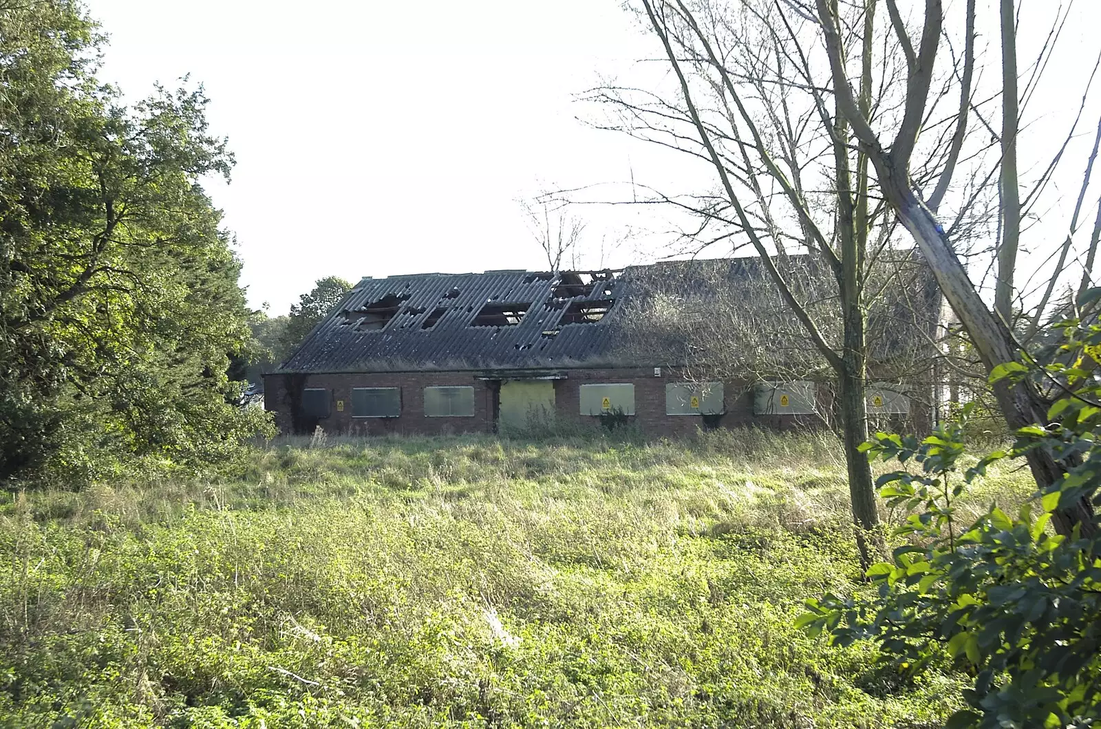 A derelict building's roof has seen better days, from The Destruction of Padley's, and Alex Hill at the Barrel, Diss and Banham - 12th November 2005