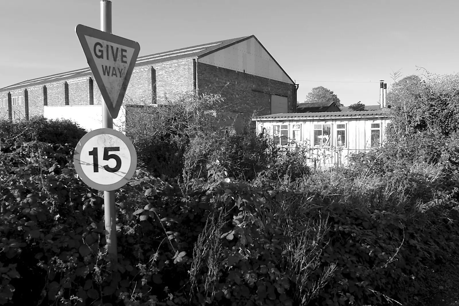 A give-way sign with not much to give way to, from The Destruction of Padley's, and Alex Hill at the Barrel, Diss and Banham - 12th November 2005