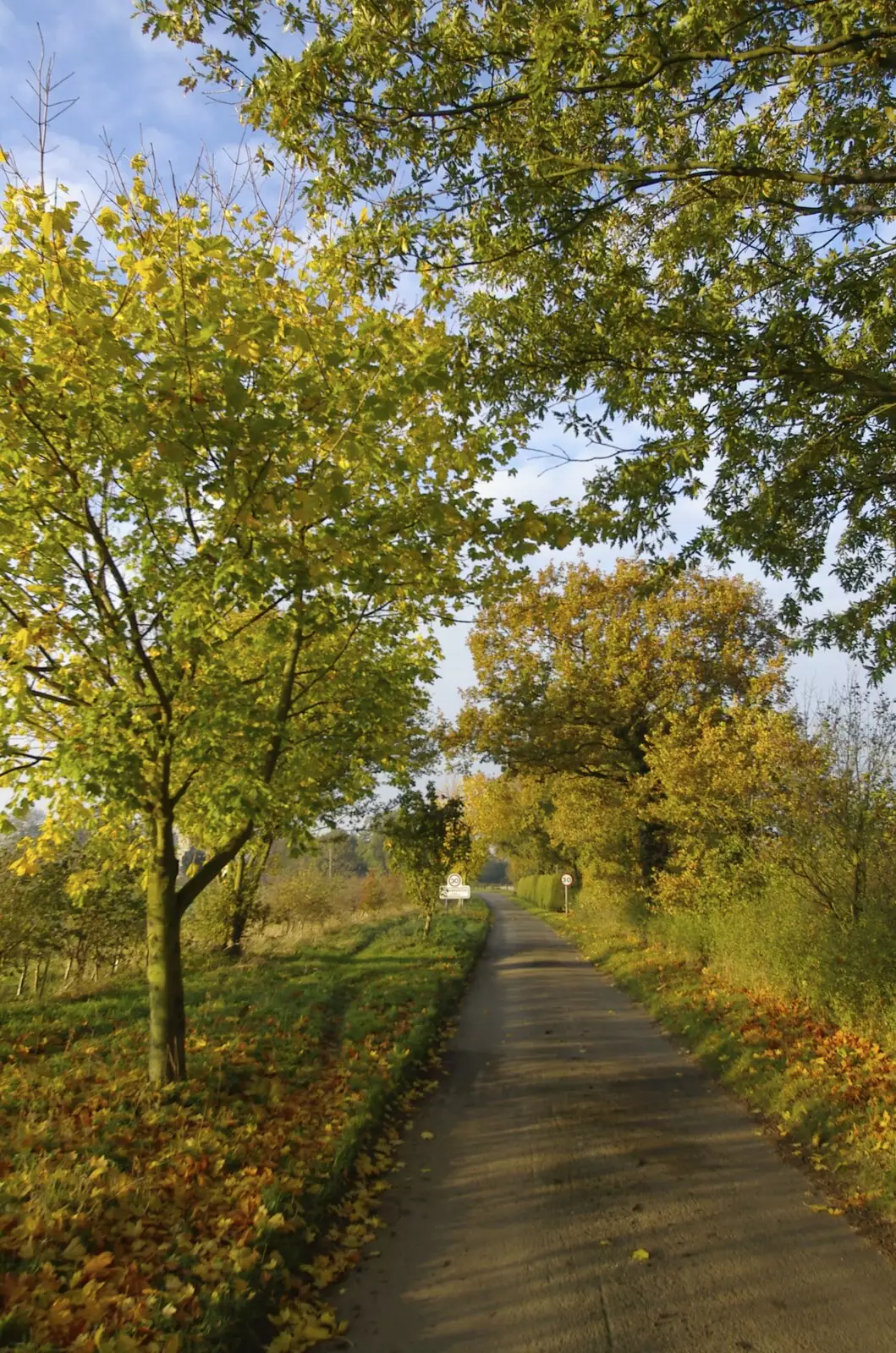 A farm-scheme replanted hedgerow in Thrandeston, from Thornham Walled Garden, and Bob Last Leaves the Lab, Cambridge - 20th November 2005