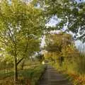 A farm-scheme replanted hedgerow in Thrandeston, Thornham Walled Garden, and Bob Last Leaves the Lab, Cambridge - 20th November 2005