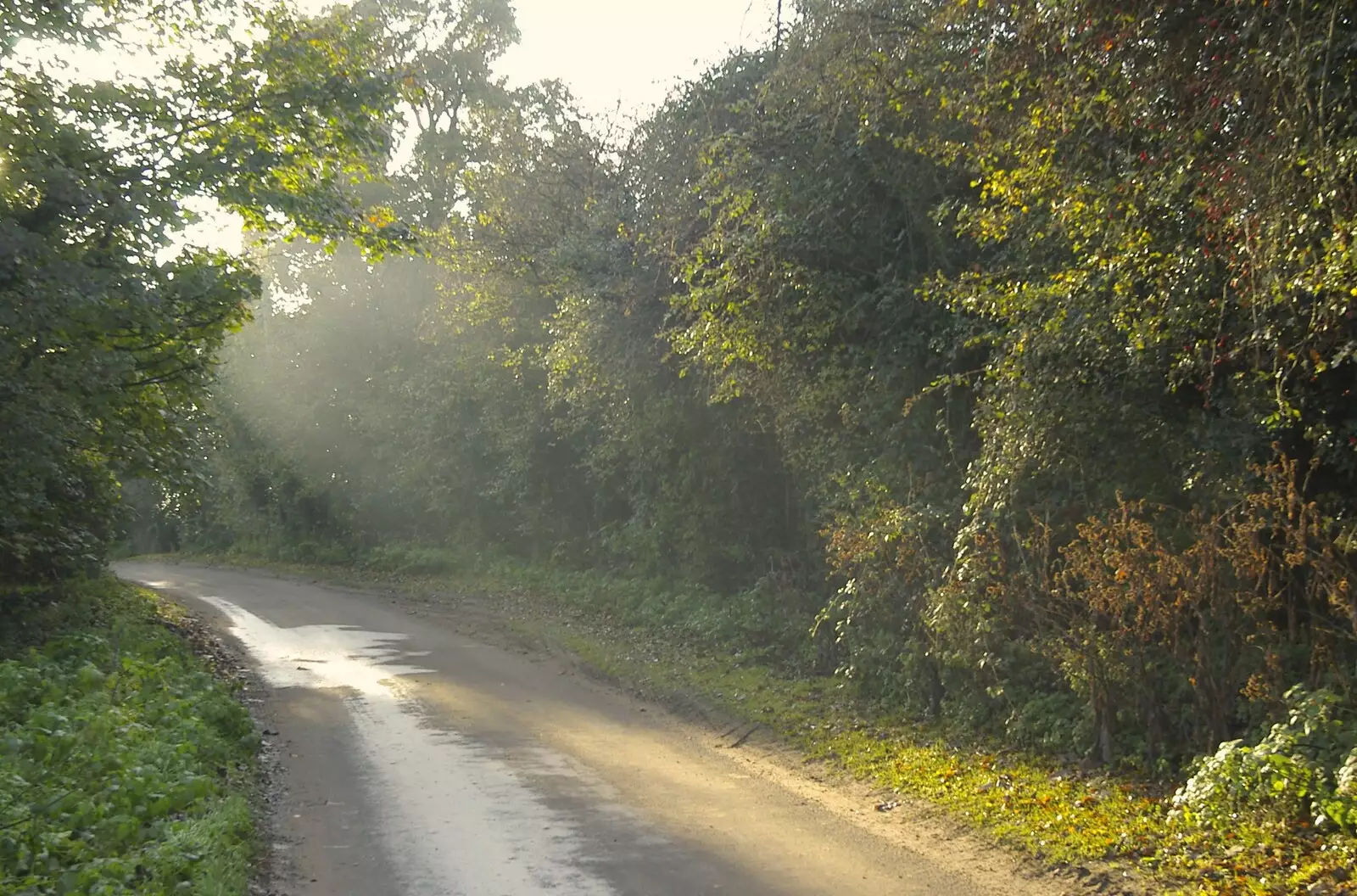 Sunlight beams through a light mist, Thrandeston, from Thornham Walled Garden, and Bob Last Leaves the Lab, Cambridge - 20th November 2005