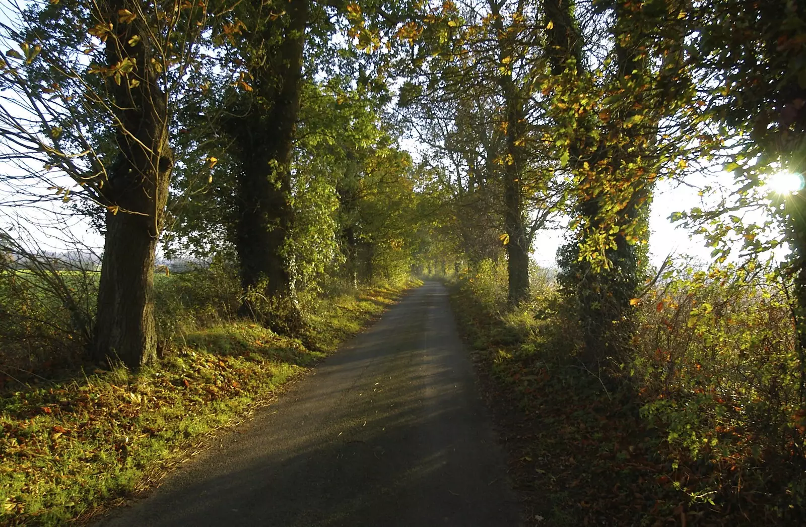 Thornham Road, between Mellis and Thornham Parva, from Thornham Walled Garden, and Bob Last Leaves the Lab, Cambridge - 20th November 2005