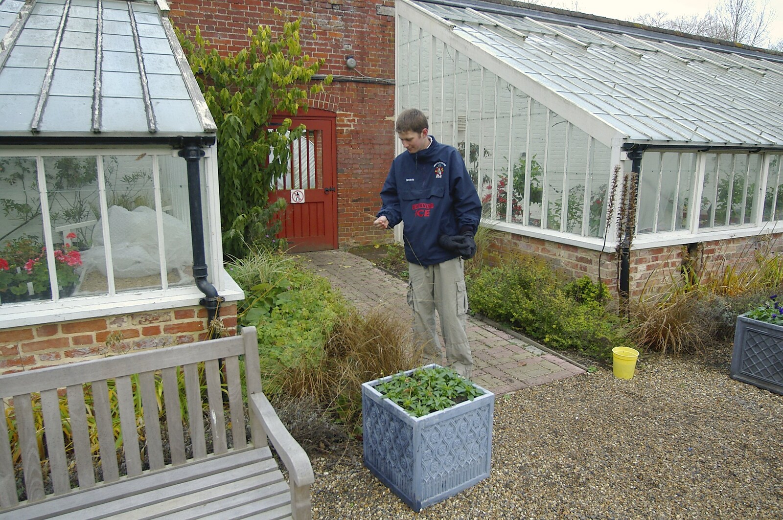 Phil examines a grassy plant from Thornham Walled Garden, and Bob Last Leaves the Lab, Cambridge - 20th November 2005