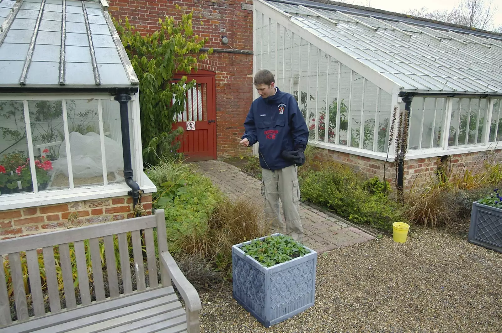 Phil examines a grassy plant, from Thornham Walled Garden, and Bob Last Leaves the Lab, Cambridge - 20th November 2005