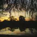 A nice sunset over the pond, Thornham Walled Garden, and Bob Last Leaves the Lab, Cambridge - 20th November 2005