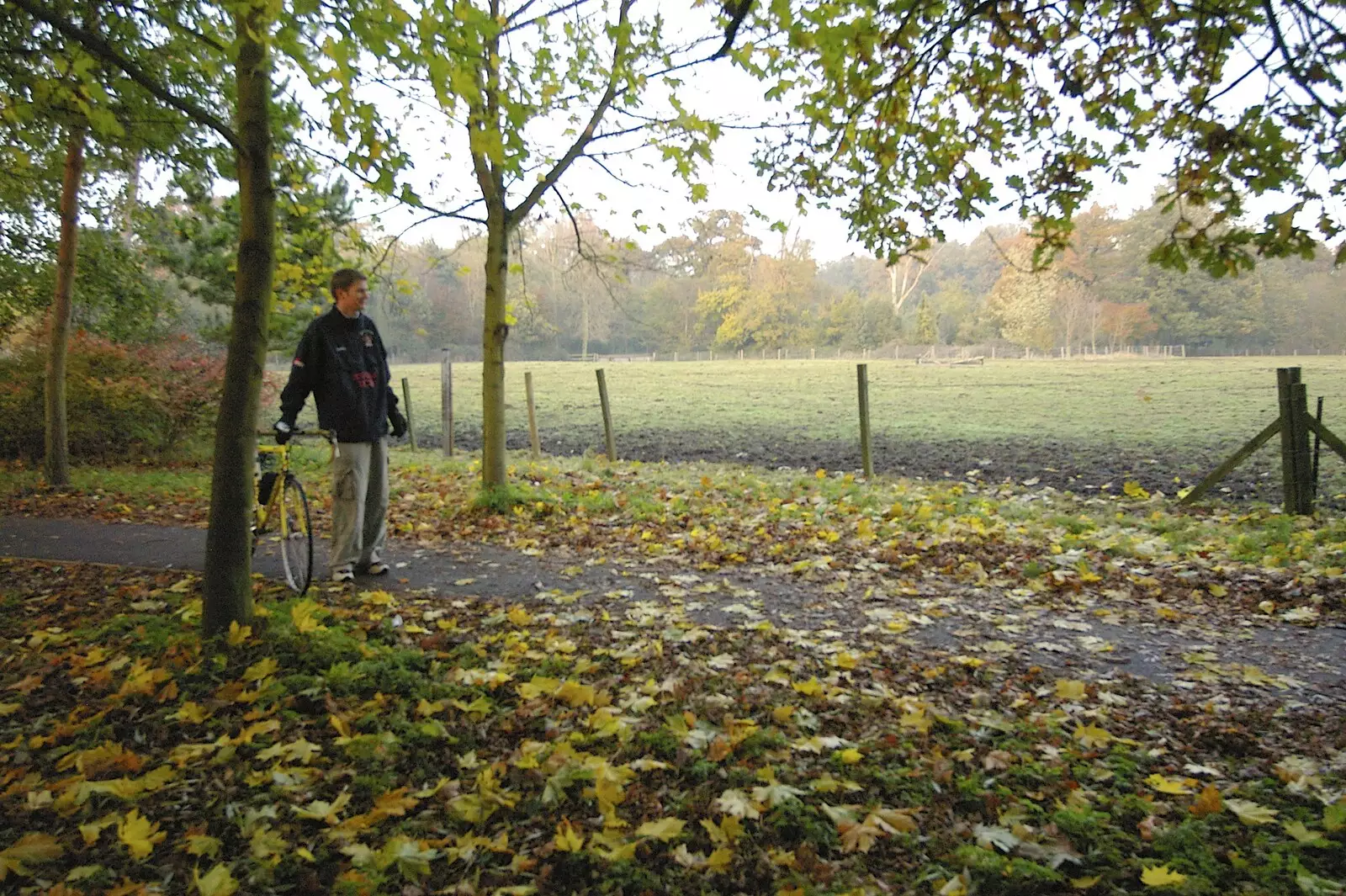 More autumn leaves, from Thornham Walled Garden, and Bob Last Leaves the Lab, Cambridge - 20th November 2005