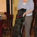 The dog leaves a trail of wee on the floor, Most Haunted, and Music at Bar 13 and the Cherry Tree, Mellis - 26th November 2005