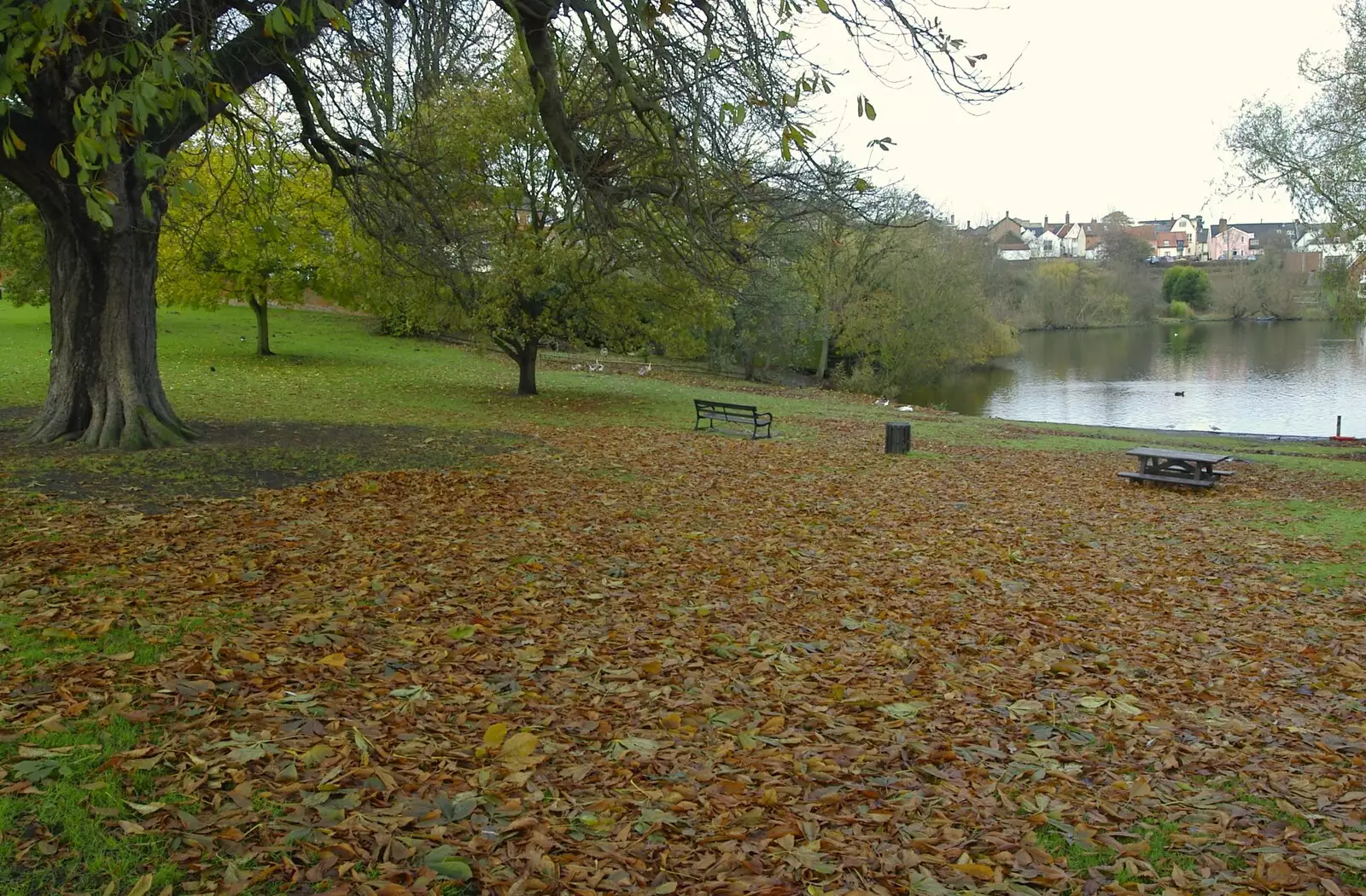 Autumn leaves on the ground in the park, from Post-modern Alienation: Bleak House, a Diss Miscellany, Norfolk - 3rd December 2005