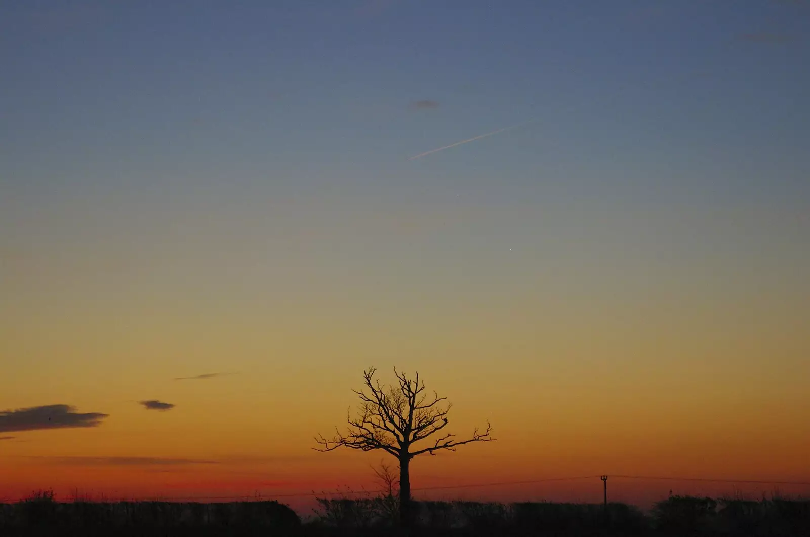 The lonely tree, outside Occold, from Pheasants, Sunsets and The BBs at Bressingham, Norfolk - 11th December 2005