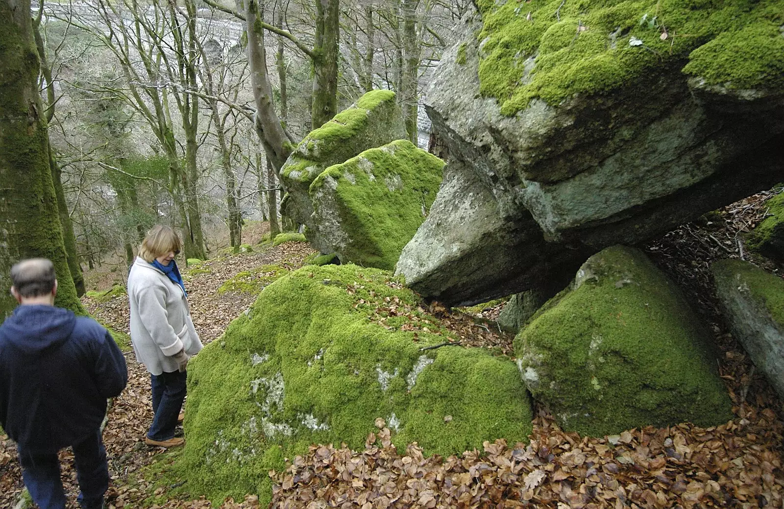 A pile of mossy rocks, from A Wander Around Hoo Meavy and Burrator, Dartmoor, Devon - 18th December 2005