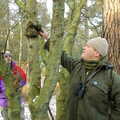 Ray finds something interesting in a tree, Walk Like a Shadow: A Day With Ray Mears, Ashdown Forest, East Sussex - 29th December 2005