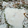 Fox tracks, Walk Like a Shadow: A Day With Ray Mears, Ashdown Forest, East Sussex - 29th December 2005