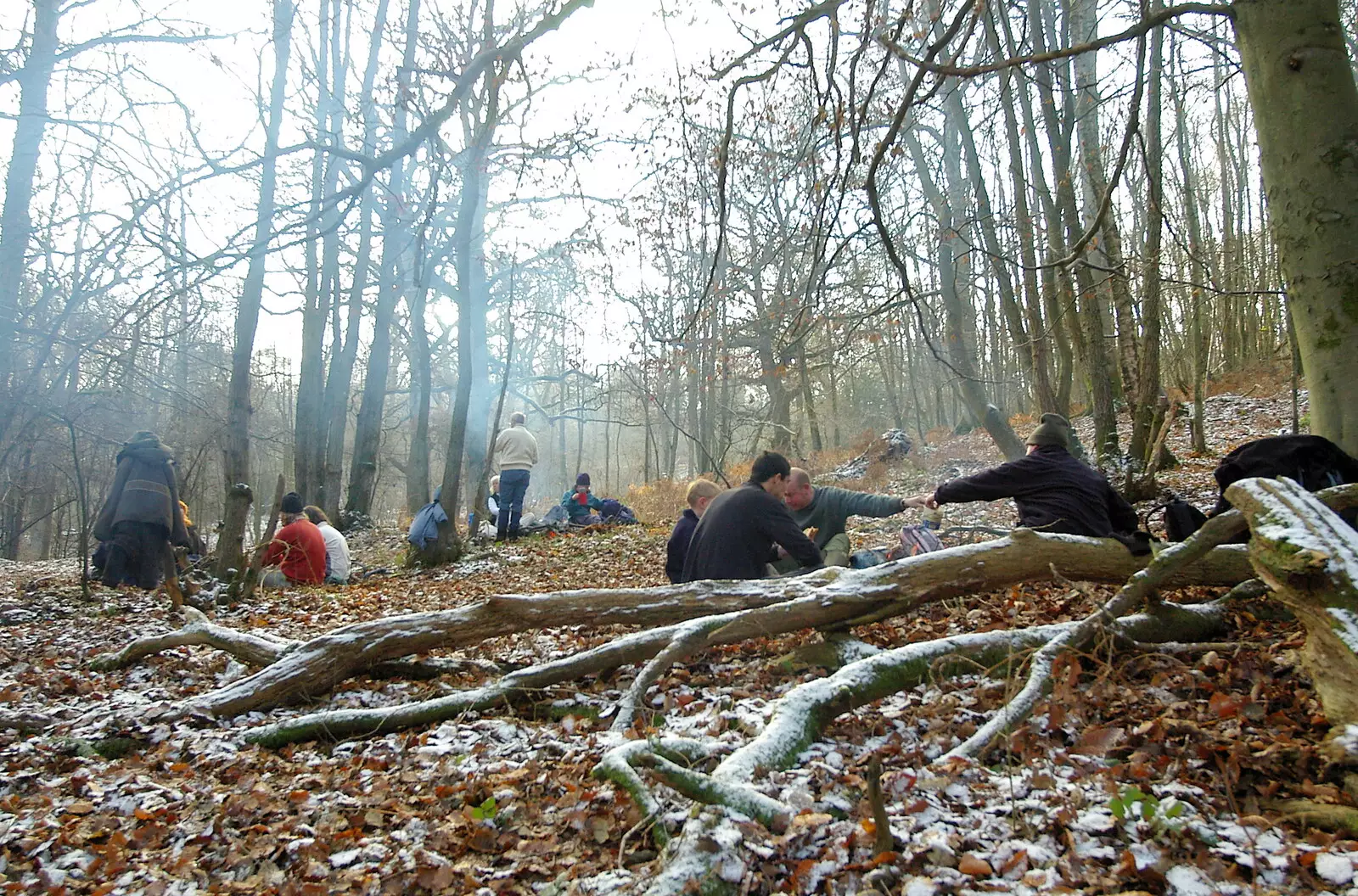 Campfires in the woods, from Walk Like a Shadow: A Day With Ray Mears, Ashdown Forest, East Sussex - 29th December 2005