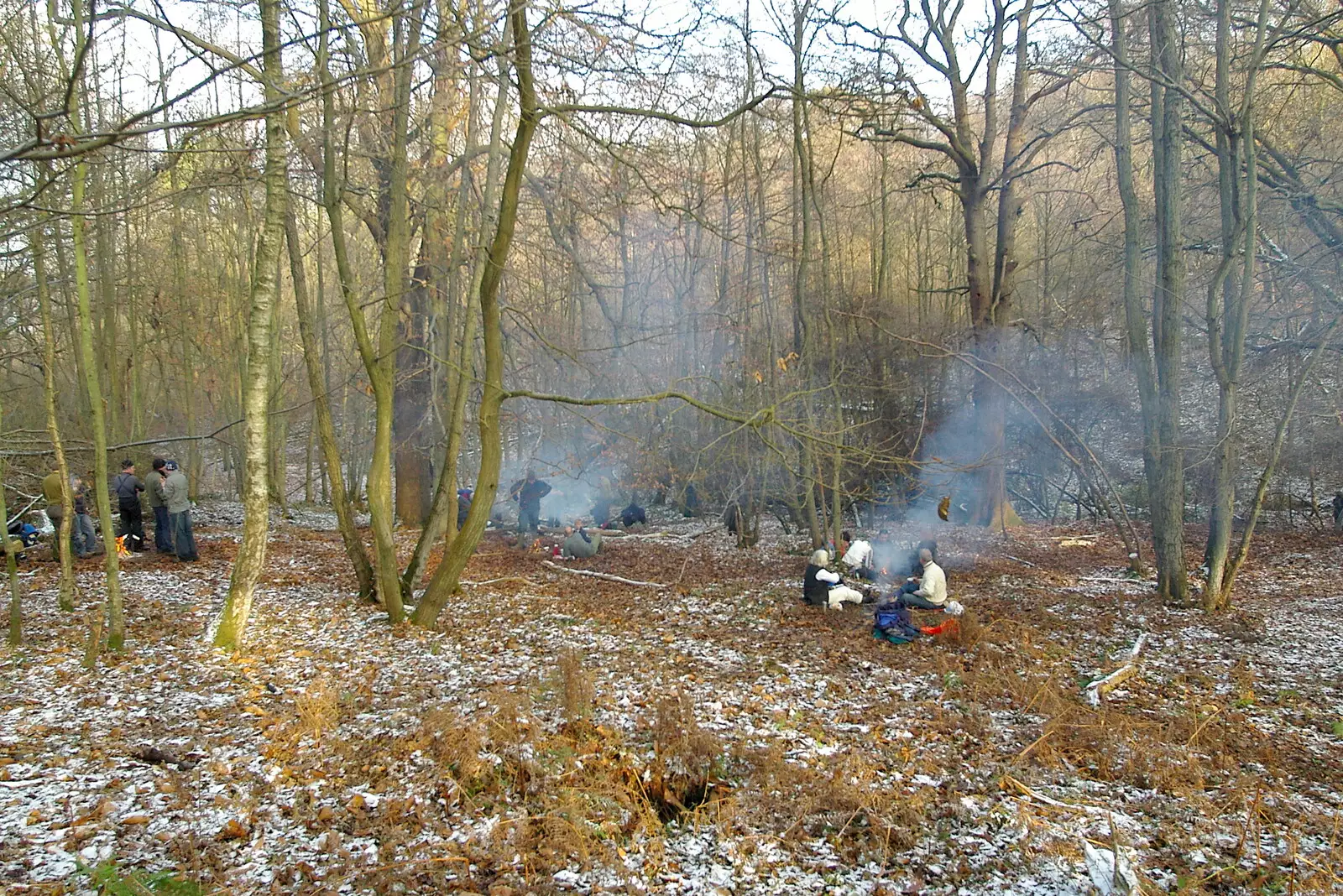 Our camp looks almost neolithic, from Walk Like a Shadow: A Day With Ray Mears, Ashdown Forest, East Sussex - 29th December 2005