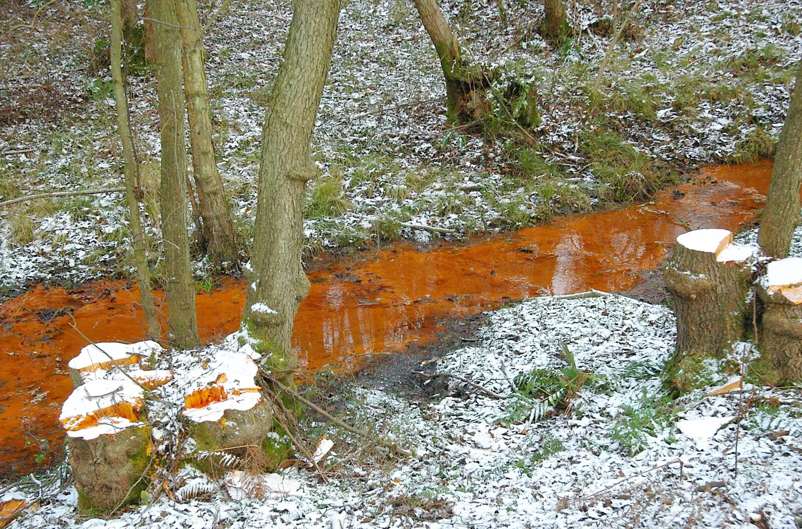 An iron-ore-tinged red stream, from Walk Like a Shadow: A Day With Ray Mears, Ashdown Forest, East Sussex - 29th December 2005